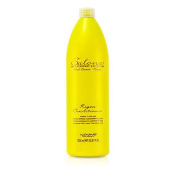 Salone The Legendary Collection Rigen Conditioner (Normal to Dry Hair)